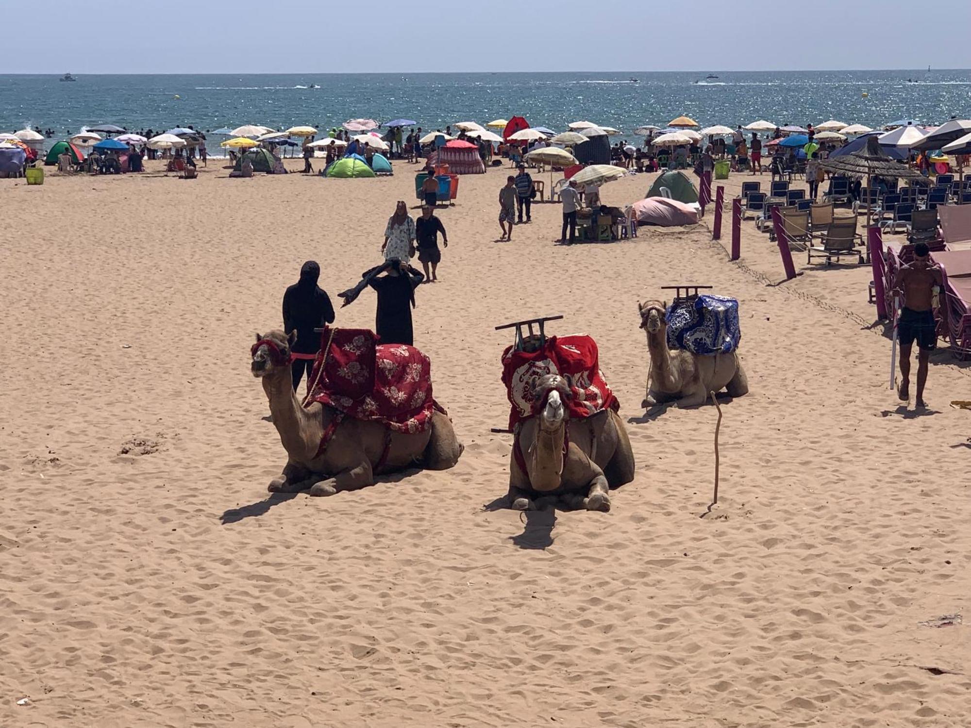 Luxury Apartment In Agadir Bay Bagian luar foto